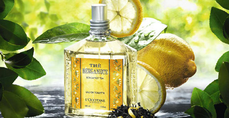 ������ �The Bergamote�