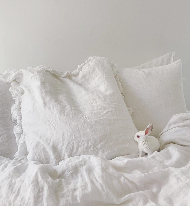 ��� ������, ���� �� �� ������ ������ � ������� �� �����